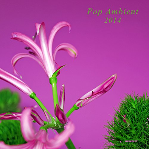 Pop Ambient 2014 (Lp+CD) [Vinyl LP] von FAMILY