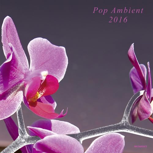 Pop Ambient 2016 (Lp/180g+CD) [Vinyl LP] von FAMILY