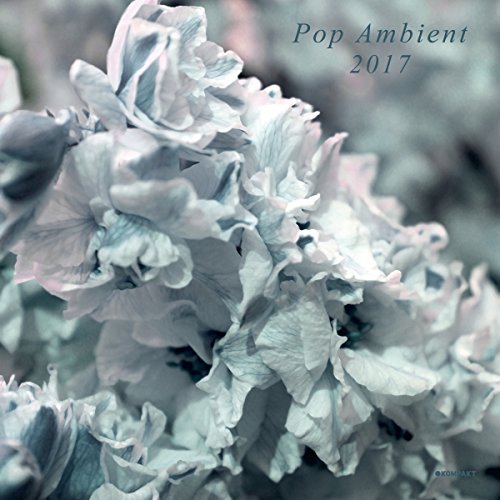 Pop Ambient 2017 (LP/180g+MP3) [Vinyl LP] von FAMILY