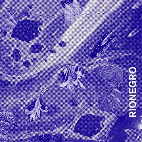 Rionegro (2lp) [Vinyl LP] von FAMILY