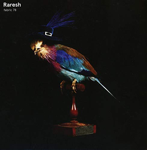fabric 78: Raresh von fabric
