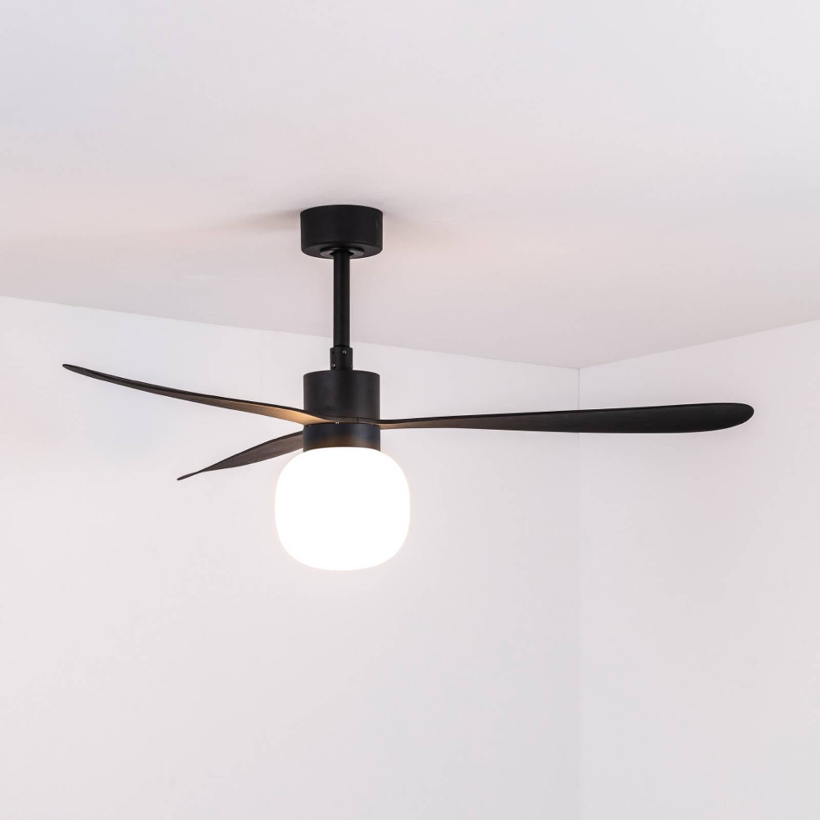 Deckenventilator Amelia Ball LED-Leuchte, schwarz von FARO BARCELONA