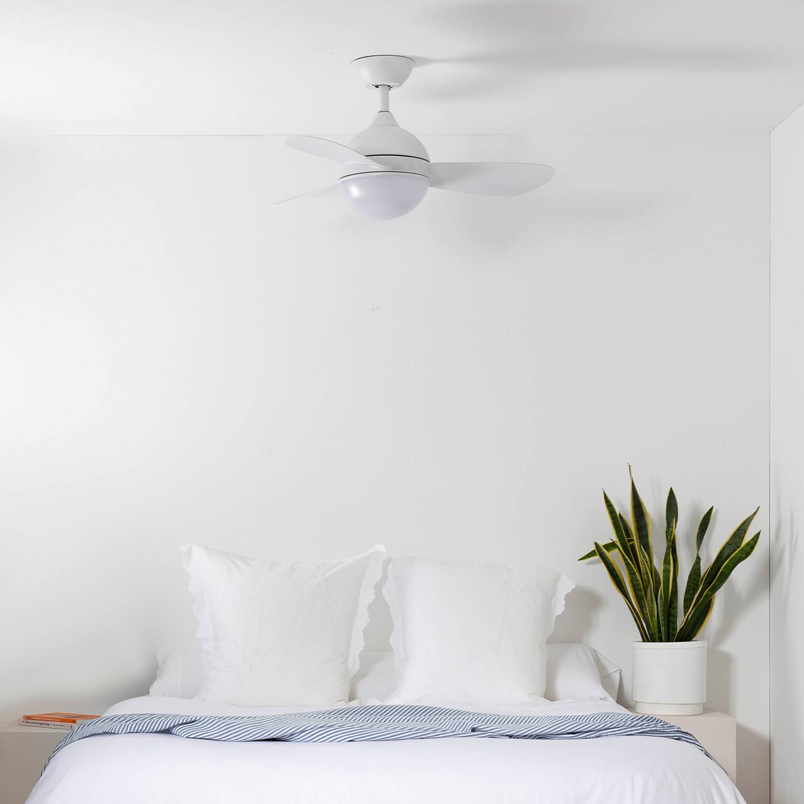LED-Deckenventilator Hvar, CCT, dimmbar LED-Deckenventilator Hvar, CCT, dimmbar von FARO BARCELONA