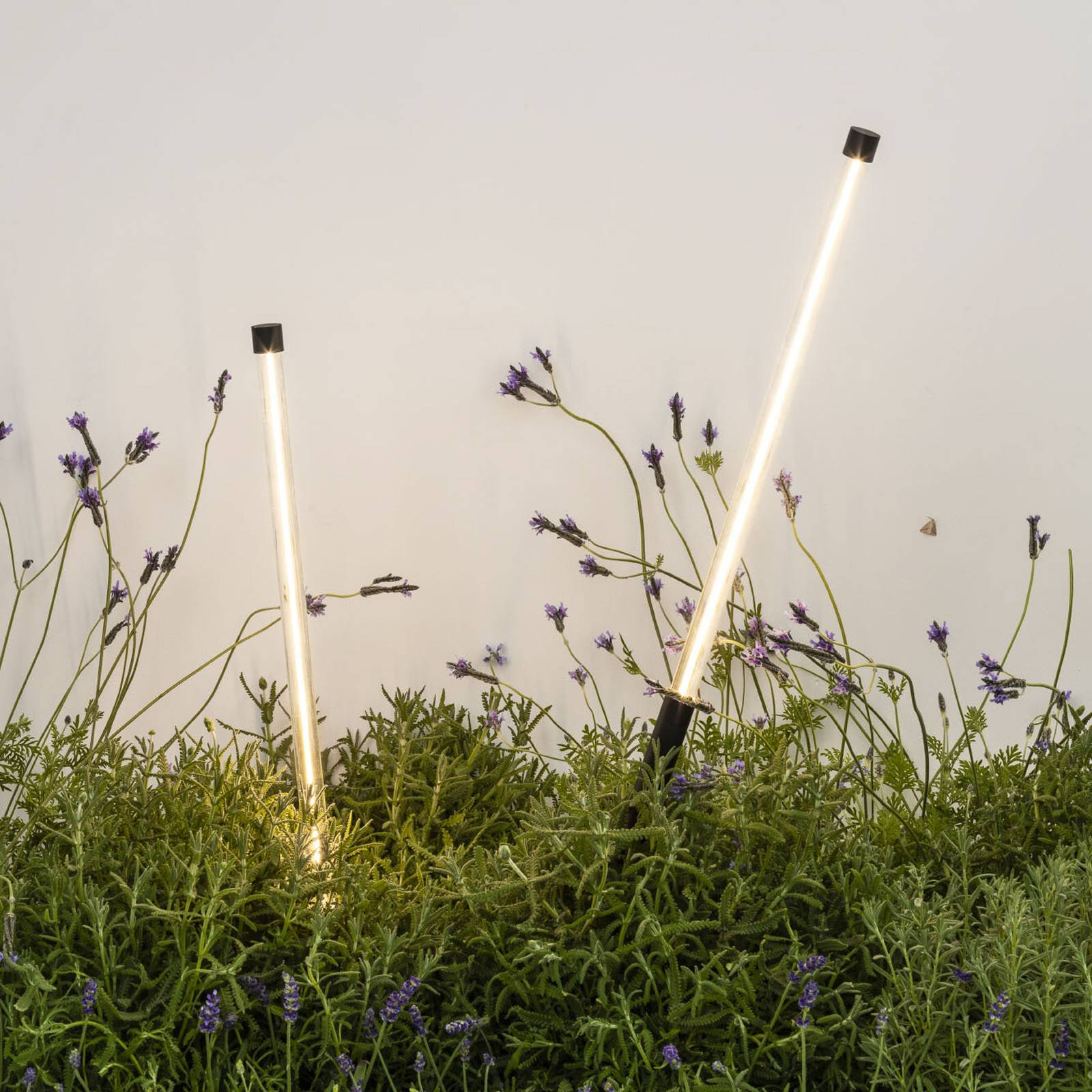 LED-Erdspießlampe Bambou 1068, schwarz, Alu/Glas, Höhe 80 cm von FARO BARCELONA