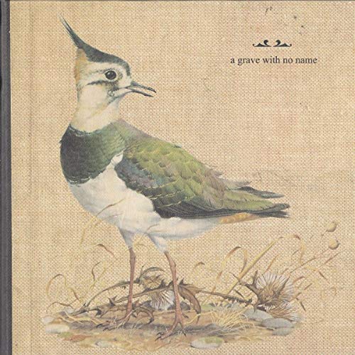 Feathers Wet, Under the Moon [Vinyl LP] von FAT POSSUM-PIAS