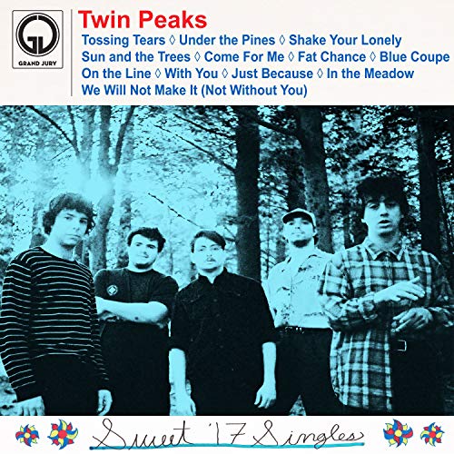 Sweet '17 Singles [Vinyl LP] von Fat Possum Records