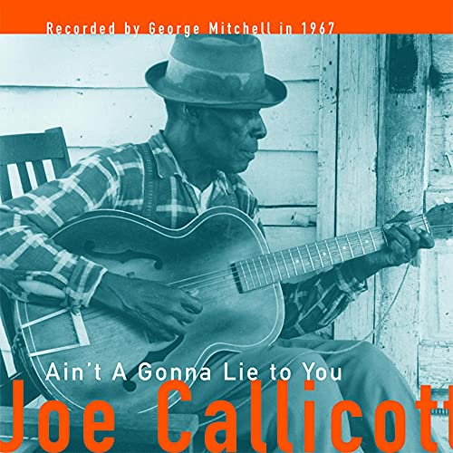 Ain't A-Going to Lie to You [Vinyl LP] von FAT POSSUM