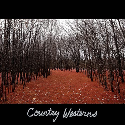 Country Westerns [Vinyl LP] von Fat Possum Records