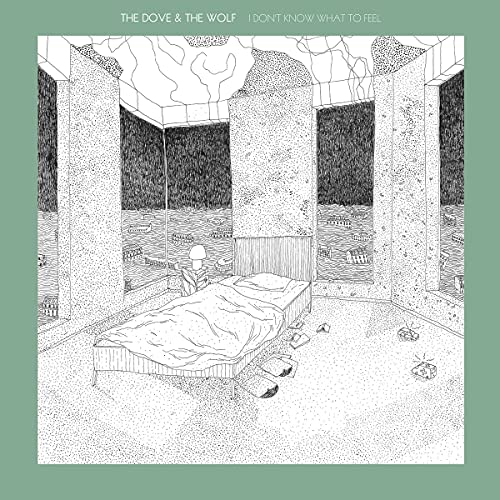 I Dont Know What To Feel [Vinyl Single] von Fat Possum Records