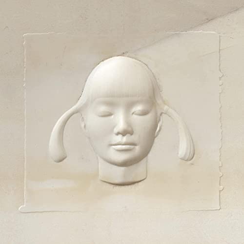 Let It Come Down [Vinyl LP] von Fat Possum Records