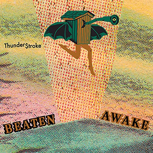 Thunderstroke [Vinyl LP] von FAT POSSUM