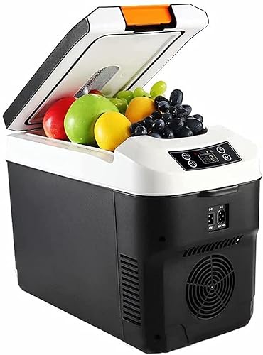 FBITE Autokühlschrank, 12-Liter-Kühlbox, horizontale Kühlbox mit Schultergurt für Lebensmittel, Getränke, Haushaltskühlschrank mit Digitalanzeige, kühlerer und wärmerer Mini-Kühlschrank von FBITE