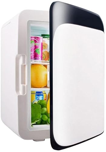 FBITE Mini Kühlschrank 10L Auto Kühlschrank Mini Kühlschrank Kühler Wärmer Lebensmittel Obst Getränke Kosmetik Gefrierschrank Heizung Kompatibel mit Home Office Auto 12V- von FBITE