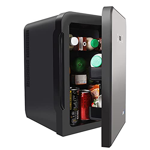 FBITE Tragbarer Autokühlschrank 10L Mini-Kühlschrank - Kompakter Miniatur-Kühlschrank für ruhiges Zuhause, kleiner Hautpflege-Kühlschrank, Getränkekühlschrank zum Heizen und Kühlen, DC/A von FBITE