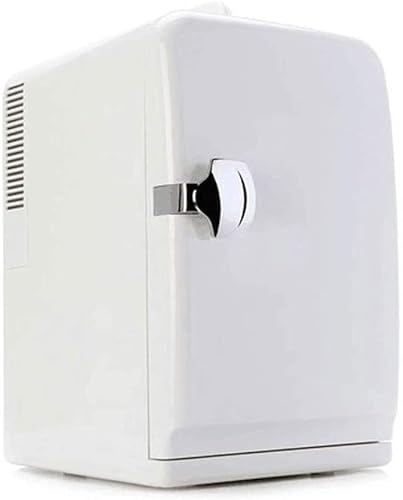 FBITE Tragbares Auto Gefrierschrank 4L Mini Kühlschrank Kühlschrank Auto Kühlschrank 12V Kühler Heizung Universal Fahrzeugteile von FBITE