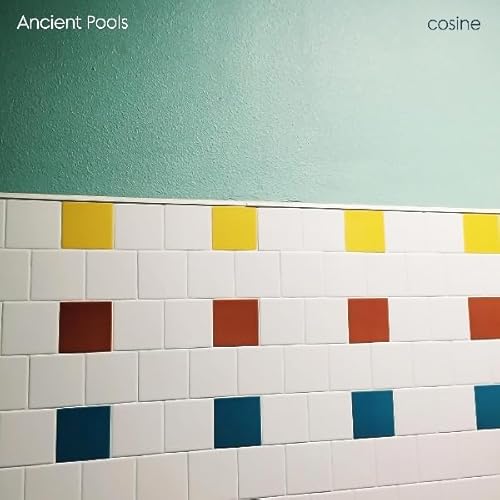 Cosine [Vinyl LP] von FEEDING TUBE REC