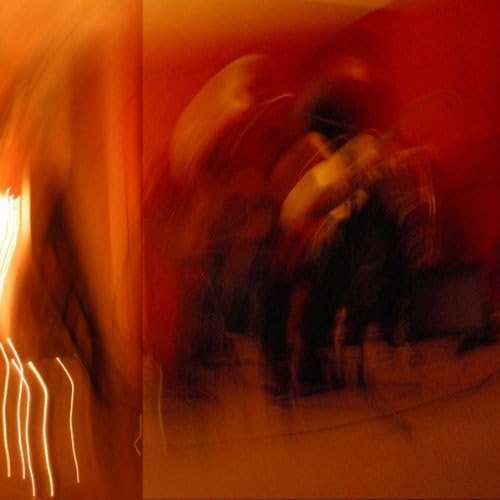 Drunk with Insignificance [Vinyl LP] von FEEDING TUBE REC