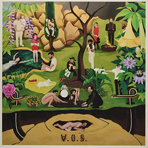 Shaped By Place [Vinyl LP] von FEEDING TUBE REC