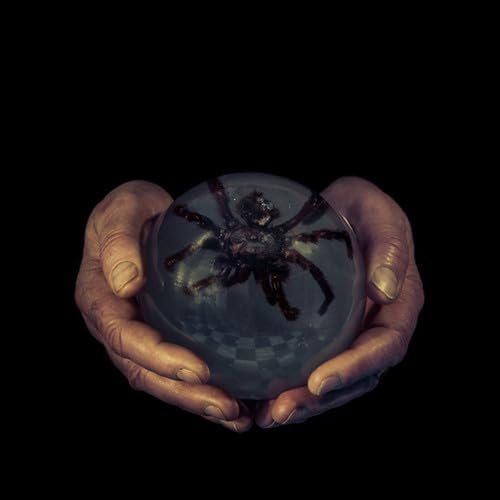 The Spider's Eyes [Vinyl LP] von Feeding Tube
