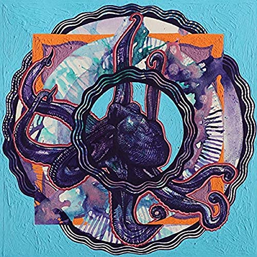 Sun Cycle [Vinyl LP] von FEEDING TUBE REC