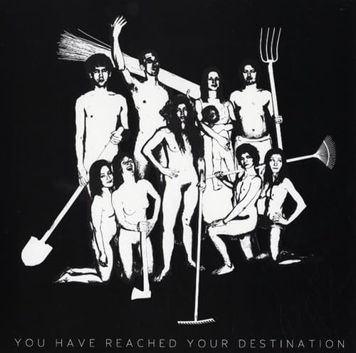 You Have Reached Your Destinat [Vinyl LP] von FEEDING TUBE REC