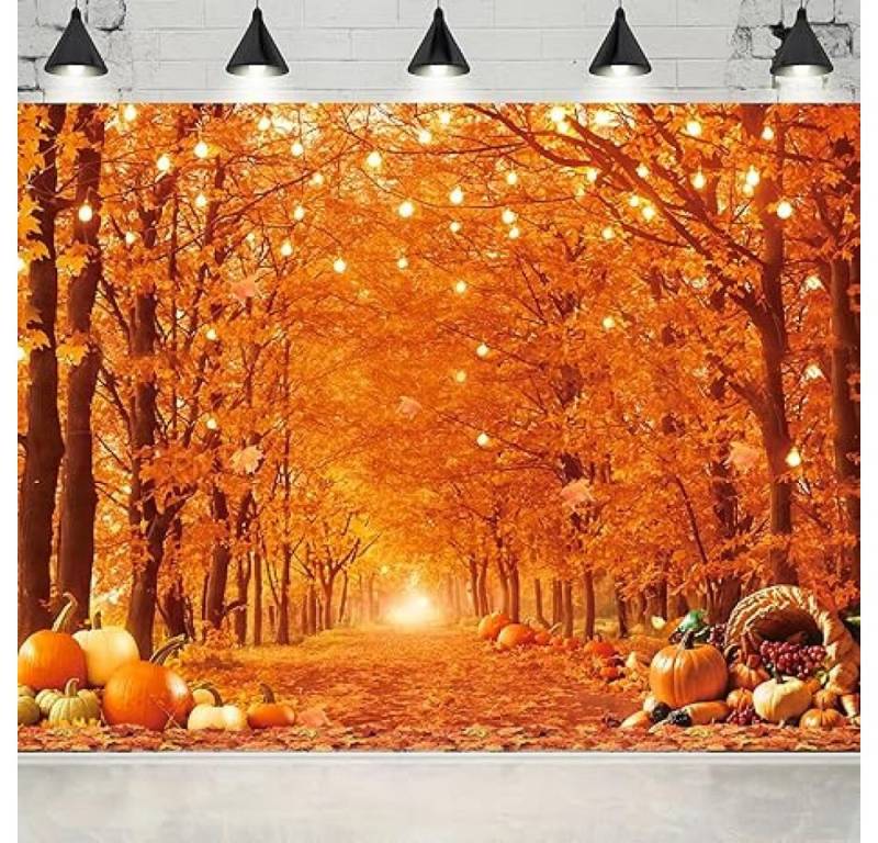 FELIXLEO Fotohintergrund 210 x 150 cm großer Herbst-Thanksgiving-Fotohintergrund von FELIXLEO