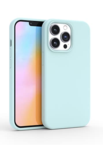 FELONY CASE Schutzhülle für iPhone 12 / iPhone 12 Pro – Pastellgrüne Silikon-Handyhülle, Flüssigsilikon mit kratzfestem Mikrofaserfutter, 360° stoßfeste Schutzhülle für Apple iPhone 12/12 Pro von FELONY CASE