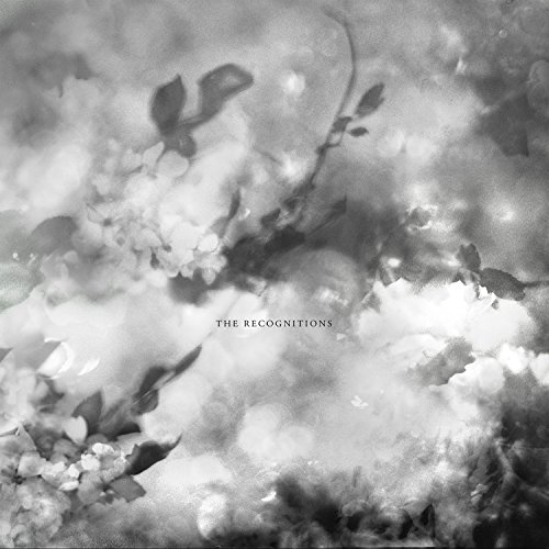 The Recognitions The Recognitions von FELTE