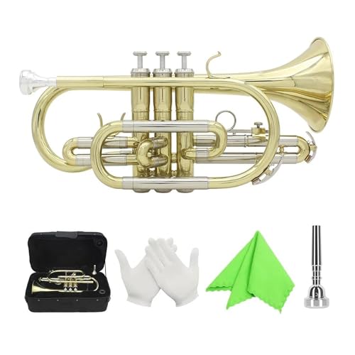 Anfänger Trompete Anfänger Bb Kornett Professionelles Blechblasinstrument von FGRTYUX
