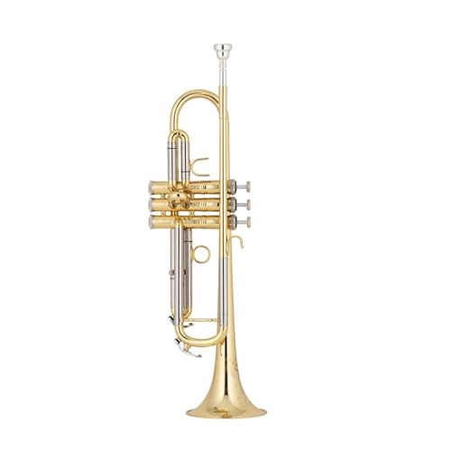 Anfänger Trompete Anfänger-Trompete professionelles B-Instrument von FGRTYUX