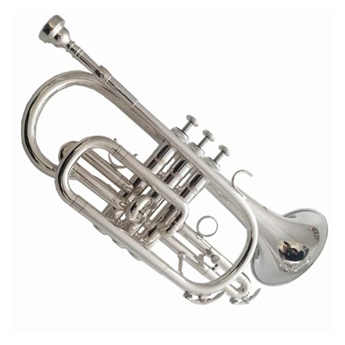 Anfänger Trompete B-Kornett versilbert Instrument aus Messing Trompete geeignet für professionelle Auftritte von FGRTYUX