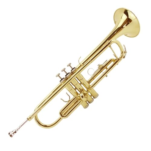 Anfänger Trompete B-Trompete ein für Anfänger geeignetes Instrument von FGRTYUX
