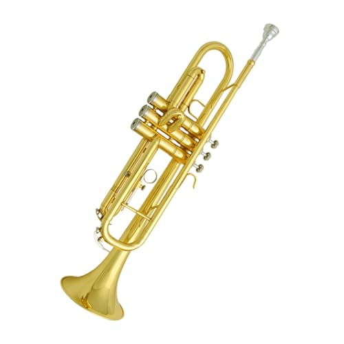 Anfänger Trompete B-Trompete ein für Anfänger geeignetes Instrument von FGRTYUX