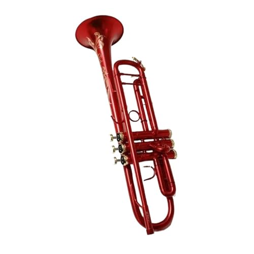 Anfänger Trompete B-Trompete für Anfänger professionelles Instrument geeignet für Erwachsene von FGRTYUX