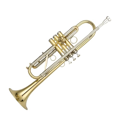 Anfänger Trompete Geeignet für Erwachsene Übung Trompete professionelles Instrument von FGRTYUX