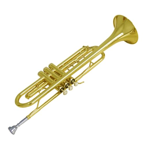 Anfänger Trompete Geeignet für professionelle Auftritte in der B-Trompete(Gold) von FGRTYUX