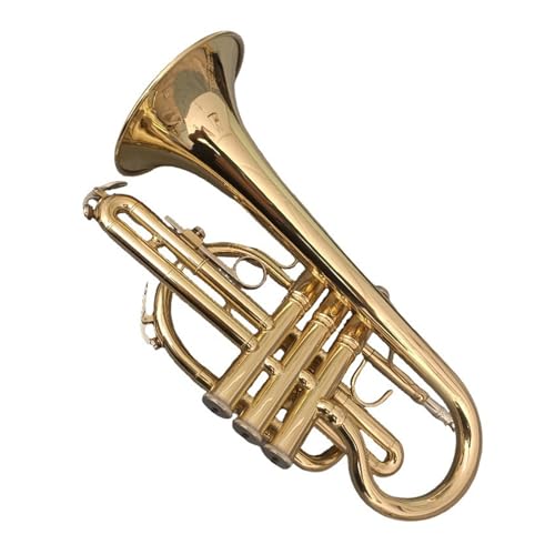 Anfänger Trompete Kornettinstrument lackiert Gold Trompete B flach professionelle Leistung Anfänger von FGRTYUX