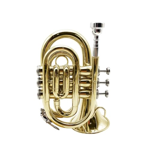 Anfänger Trompete Mini-B-Trompete geeignet für professionelle Auftritte(Gold) von FGRTYUX