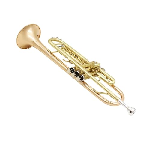 Anfänger Trompete Phosphorbronze Professionelles Blechblasinstrument B-Trompete Anfänger Trompete Phosphorbronze Professionelles Blechblasinstrument B-Trompete von FGRTYUX