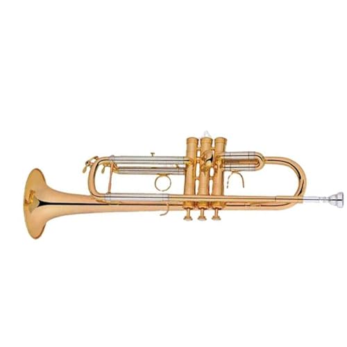 Anfänger Trompete Professionelle Trompete geeignet für Anfänger für Üben Anfänger Trompete Professionelle Trompete geeignet für Anfänger für Üben von FGRTYUX