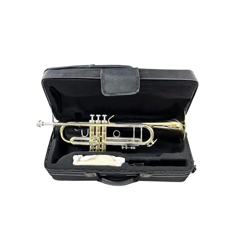 Anfänger Trompete Professionelle Trompete mit BB-Ton Messingkorpus Geeignet für erwachsene Anfänger Anfänger Trompete Professionelle Trompete mit BB-Ton Messingkorpus Geeignet für erwachsene Anfänger von FGRTYUX