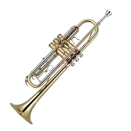 Anfänger Trompete Professionelles Anfänger-Trompeten-B-Instrument Anfänger Trompete Professionelles Anfänger-Trompeten-B-Instrument von FGRTYUX