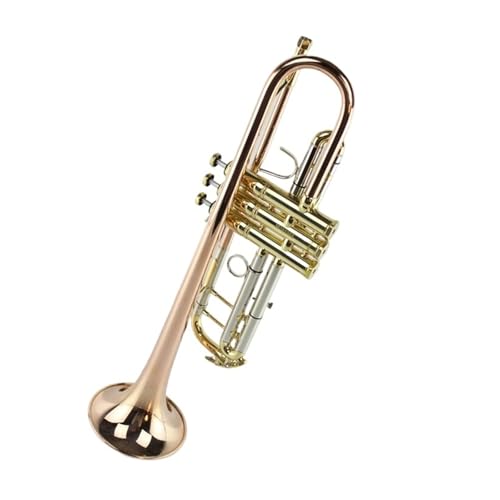 Anfänger Trompete Professionelles B-Trompeteninstrument Phosphorbronze von FGRTYUX