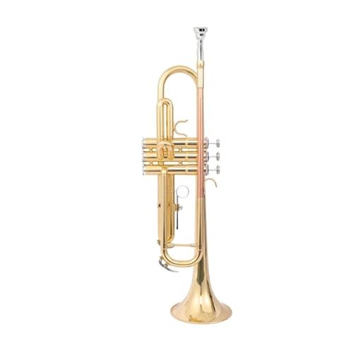 Anfänger Trompete Professionelles Bb-Tonart-Phosphorbronze-Messingtrompeten-Musikinstrument für Anfänger von FGRTYUX