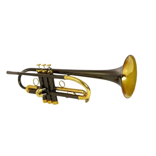 Anfänger Trompete Professionelles Blechblasinstrument Bb-Trompete geeignet für Anfänger für Üben von FGRTYUX