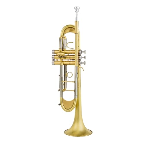 Anfänger Trompete Professionelles Blechblasinstrument für Erwachsene Trompete Anfänger Trompete Professionelles Blechblasinstrument für Erwachsene Trompete von FGRTYUX