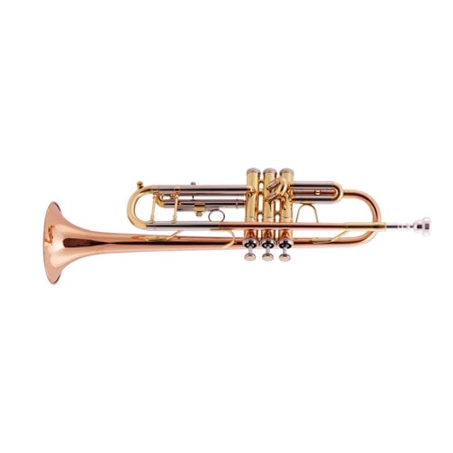 Anfänger Trompete Professionelles Blechblasinstrument für Trompete von FGRTYUX