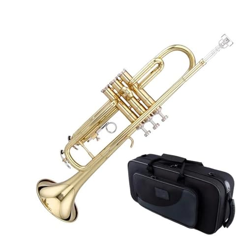 Anfänger Trompete Professionelles Blechblasinstrument mit Bb-Stimmung Anfänger Trompete Professionelles Blechblasinstrument mit Bb-Stimmung von FGRTYUX