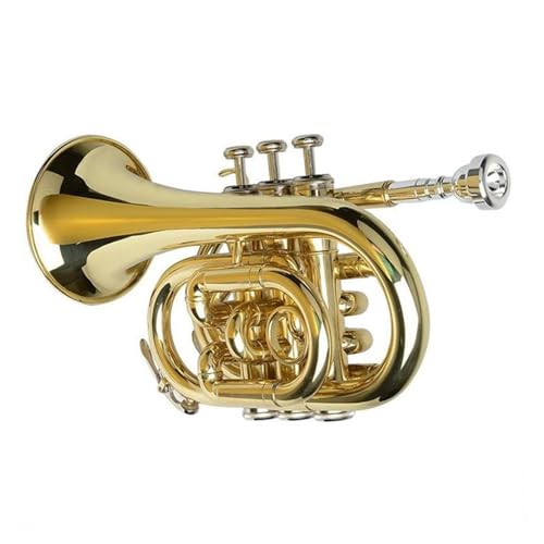Anfänger Trompete Professionelles Instrument B-Mini-Trompete Kornett von FGRTYUX