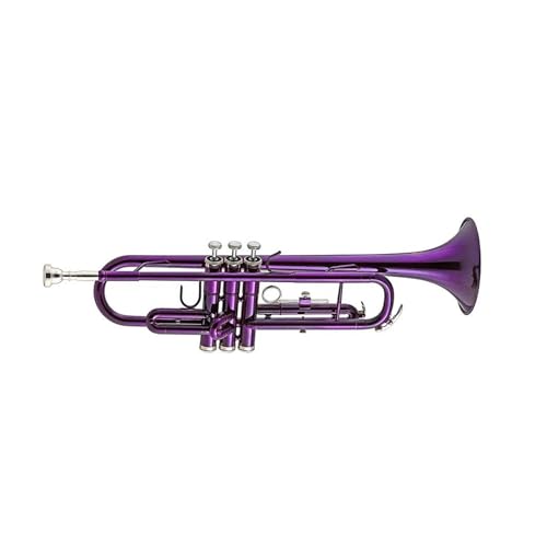 Anfänger Trompete Professionelles Musikinstrument BB-Trompete Messingkorpus von FGRTYUX